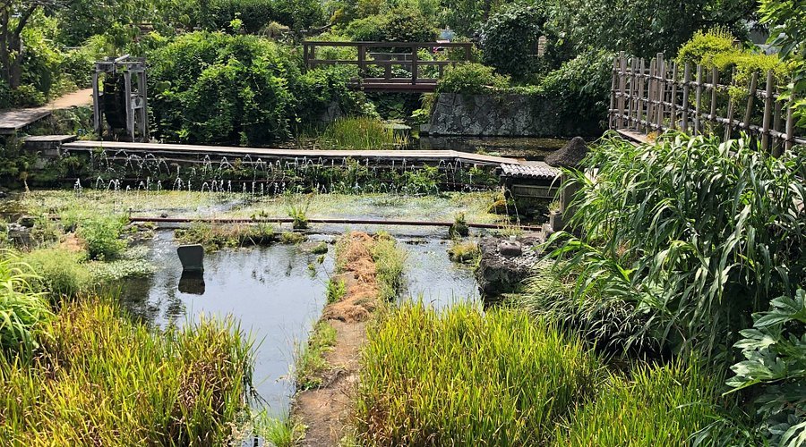 🏞️ 매화말풀 마을 (미시마 바이카모노사토) 이미지 1